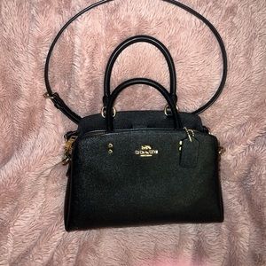 Coach mini lillie carryall